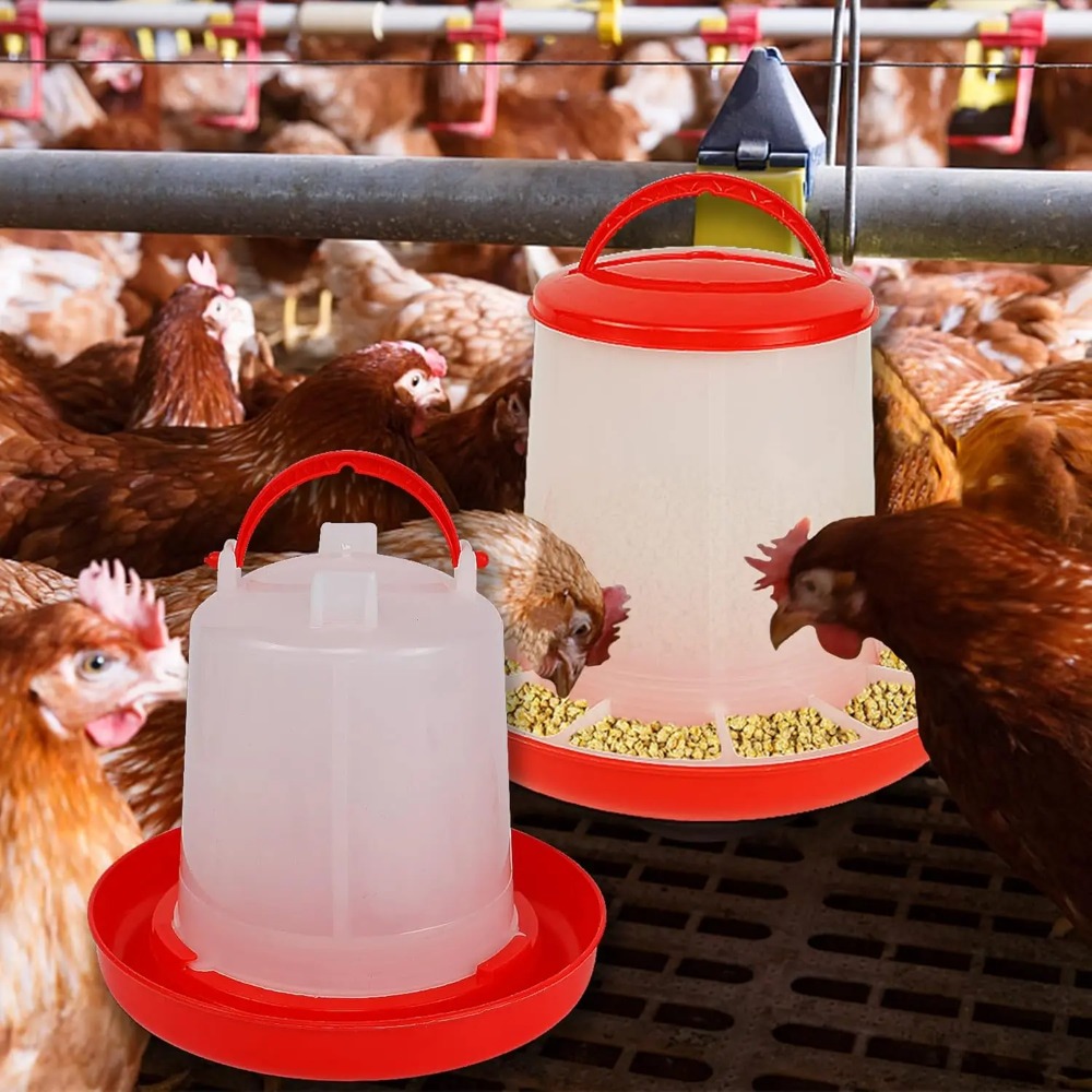 เครื่องให้อาหารและน้ำไก่แบบอัต - Portion Control Container บทวิจารณ์และราคา