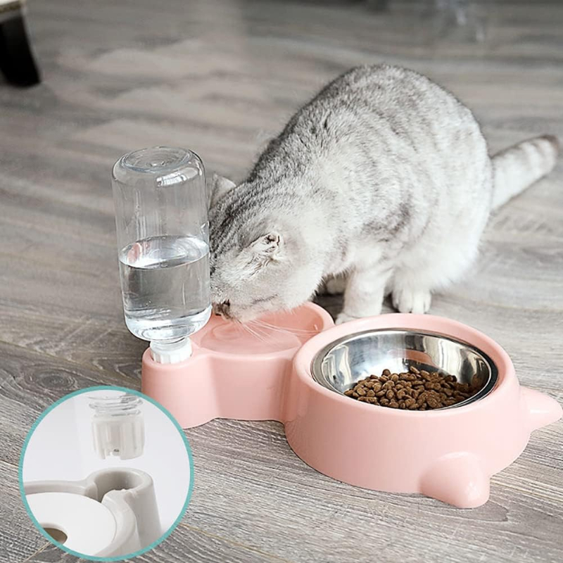 ตู้น้ําสําหรับสัตว์เลี้ยงสําหร - Portion Control Container บทวิจารณ์และราคา