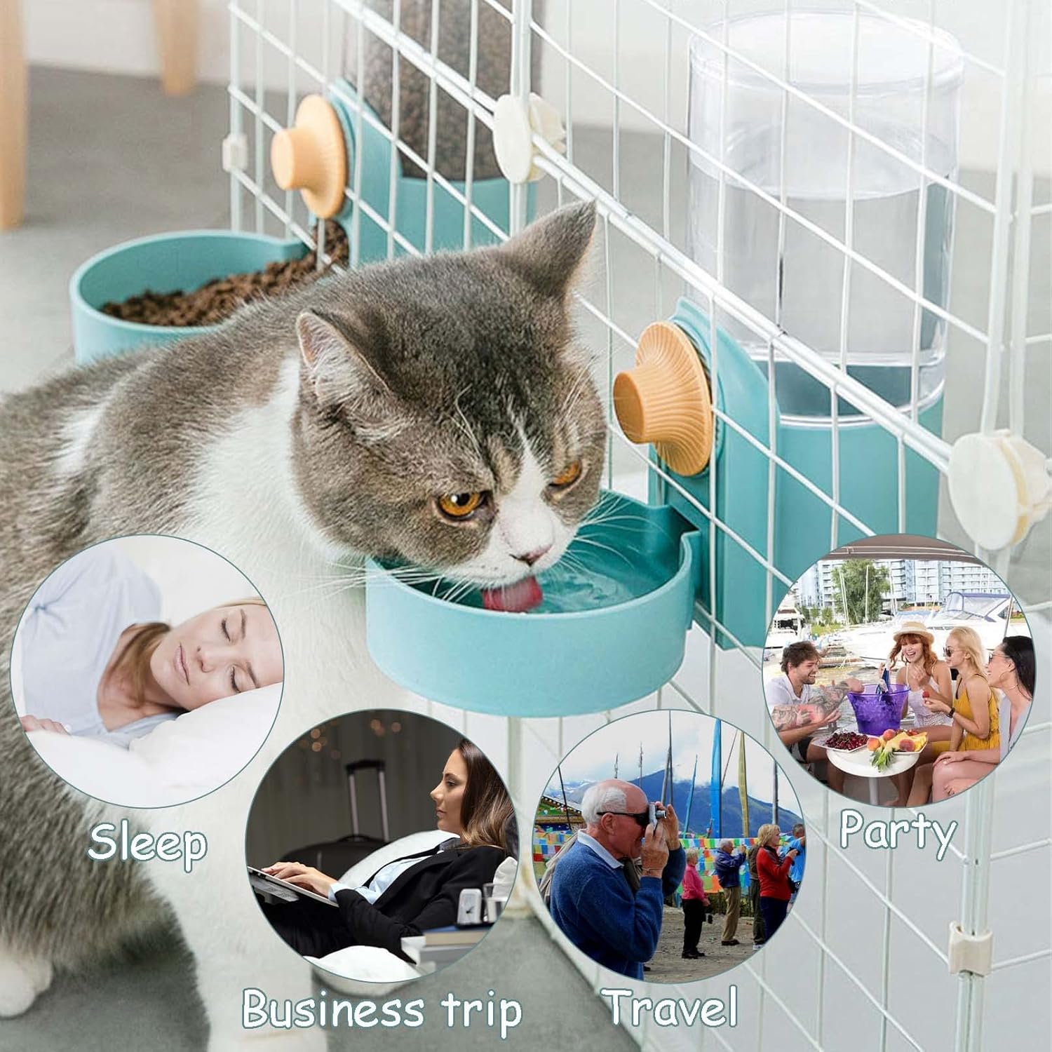 เครื่องให้อาหารสัตว์เลี้ยงแบบแ - Portion Control Container บทวิจารณ์และราคา